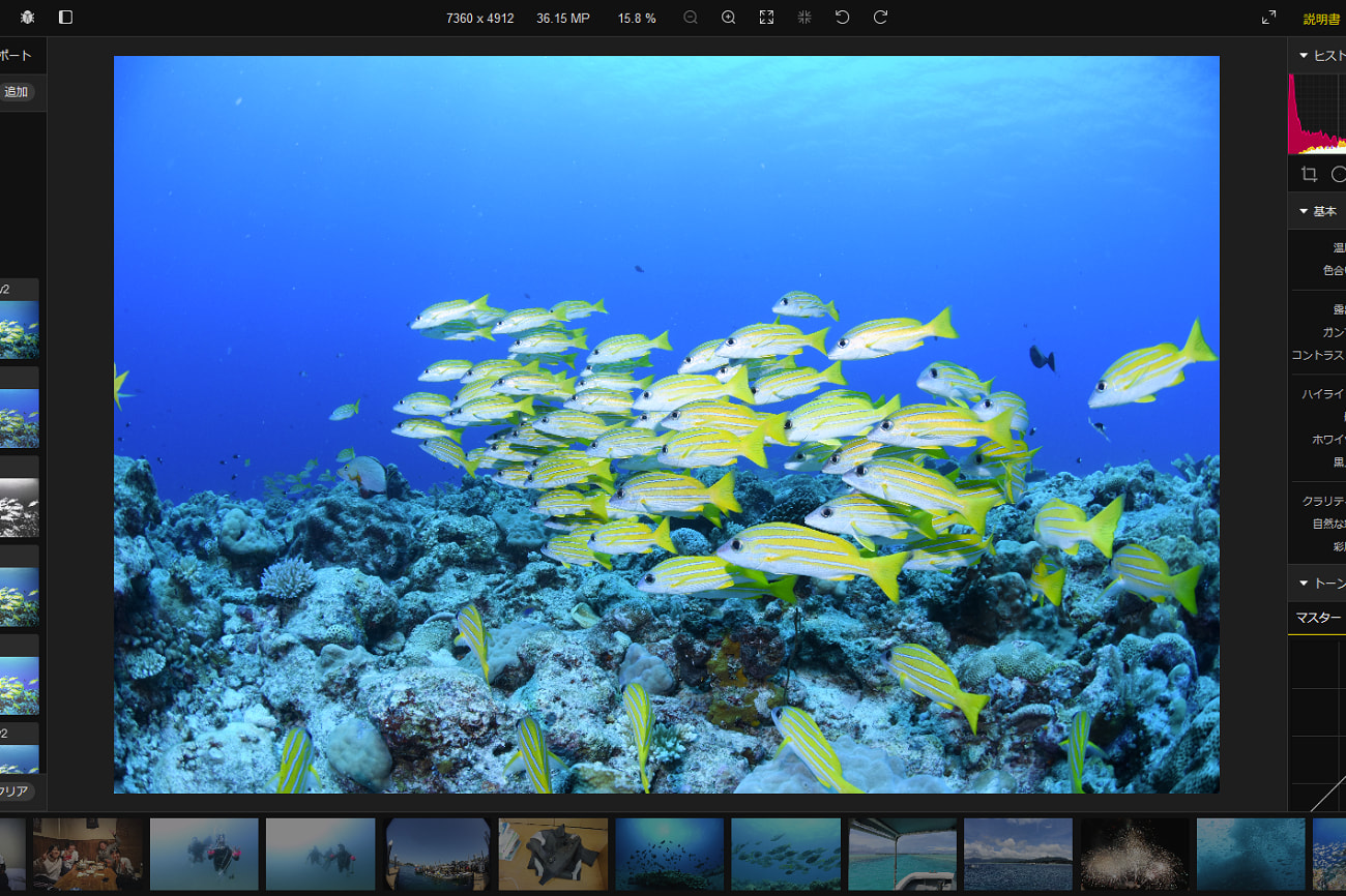 Polarr｜無料で水中写真を編集、加工するオススメのツール【アプリ有】