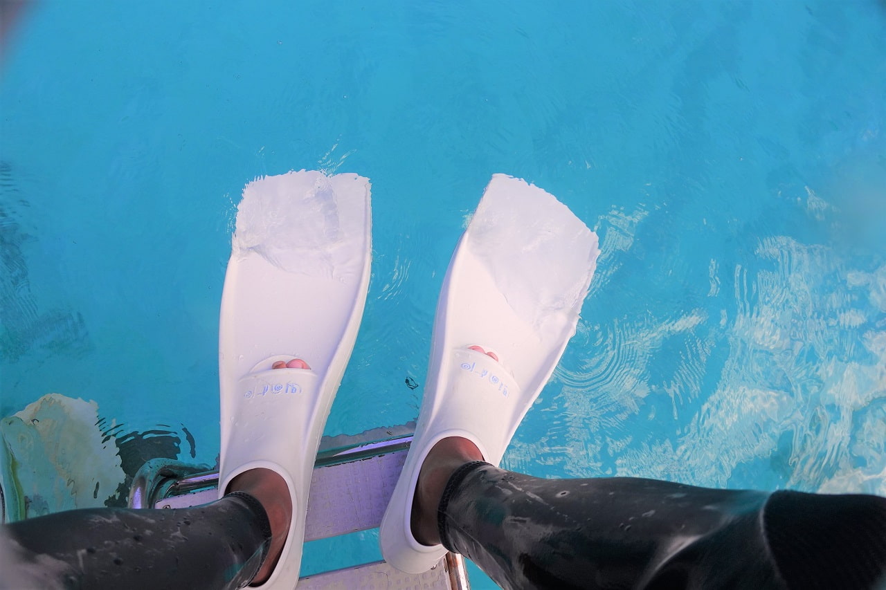 ダイビングのフィン｜GULLのおすすめのフィン6選はこれです