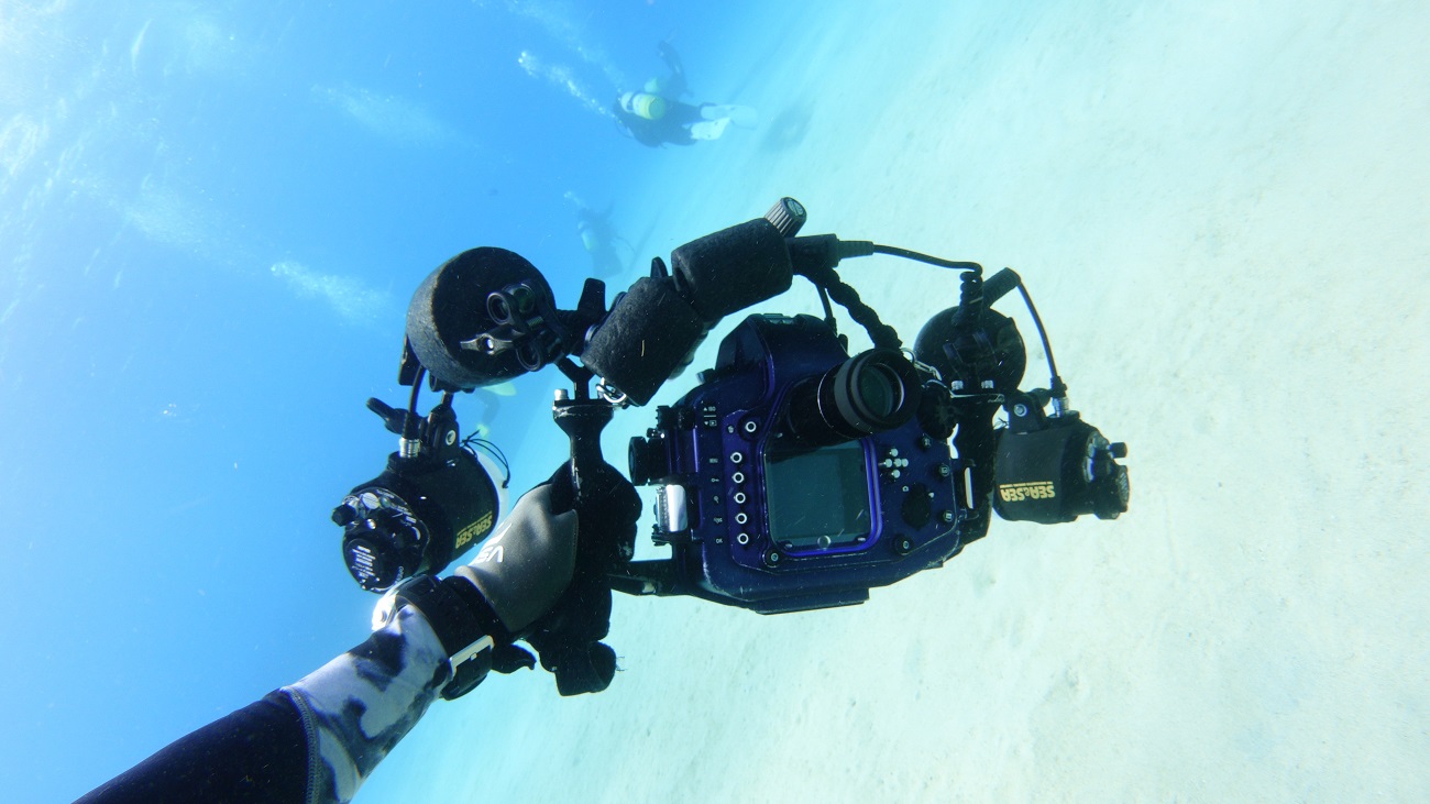 ダイビングのグローブ・カメラにおすすめのグローブ6選と選び方