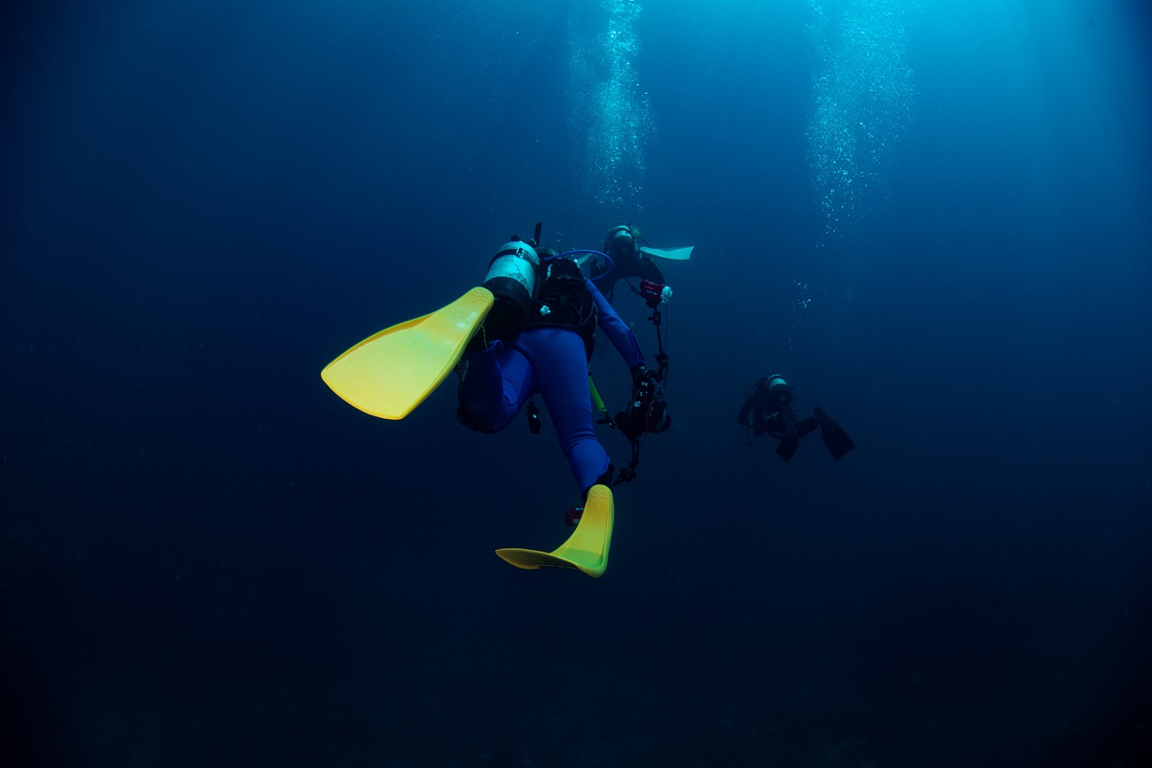 ダイビングのフィン｜選び方+使いやすいおすすめ6選決定  部長の水中写真と秘密のダイビングログ