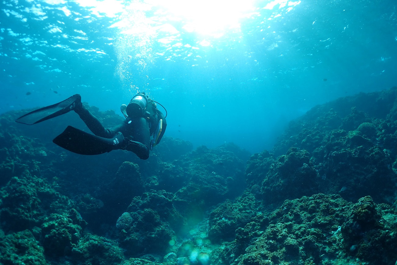 ダイビングのカメラ｜ハウジングなしで使えるおすすめ3選！ | 部長の水中写真と秘密のダイビングログ