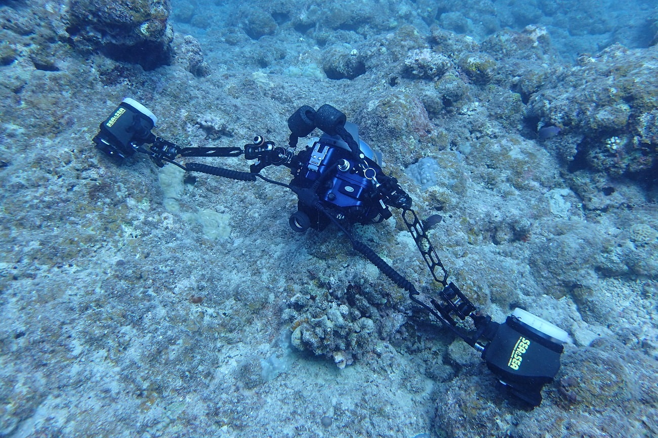 ダイビングや水中写真でカメラのストロボを2灯にする