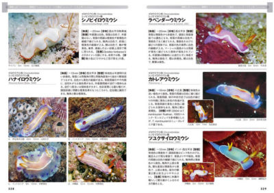日本のウミウシ図鑑