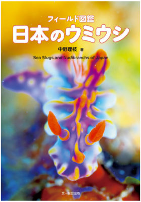 フィールド図鑑　日本のウミウシ