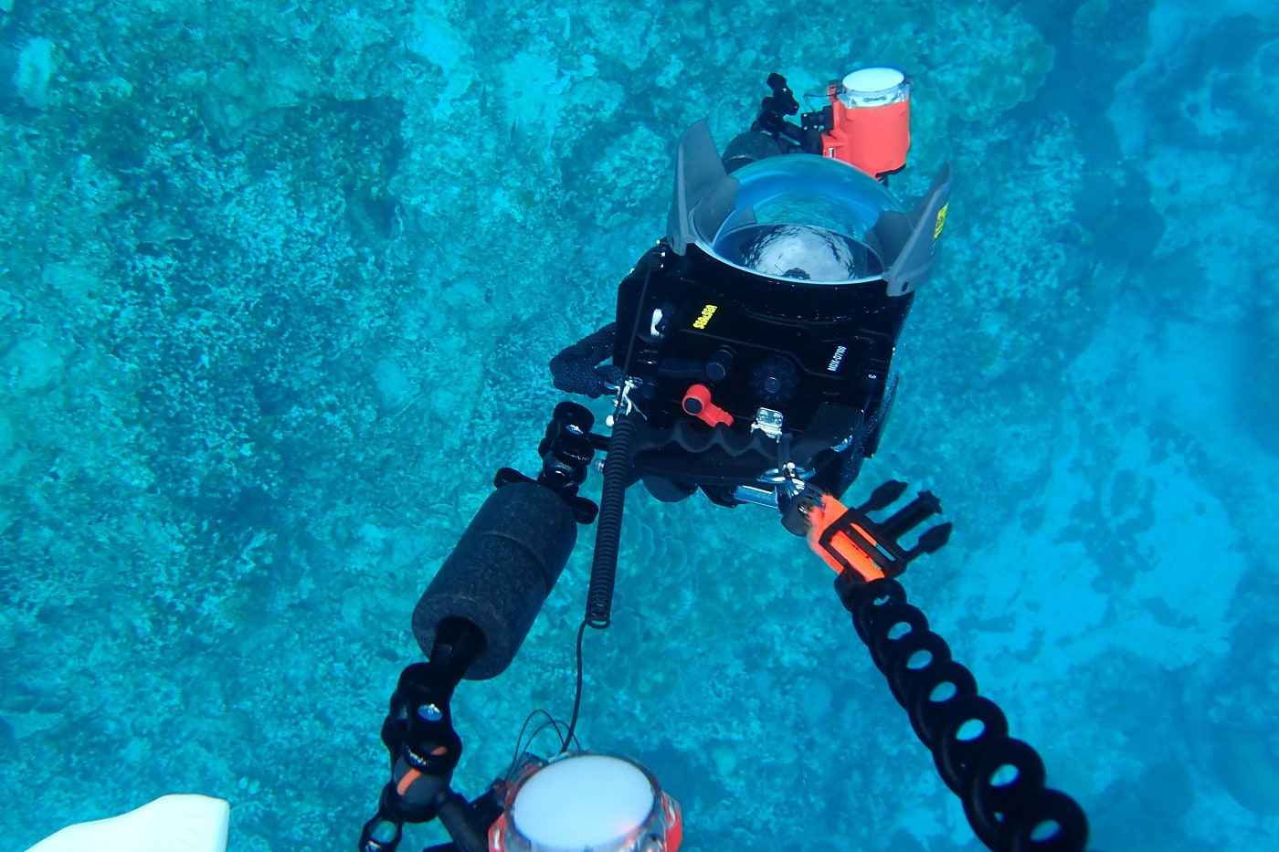 SEASEAのハウジングでINONのストロボを使う | 部長の水中写真と秘密のダイビングログ