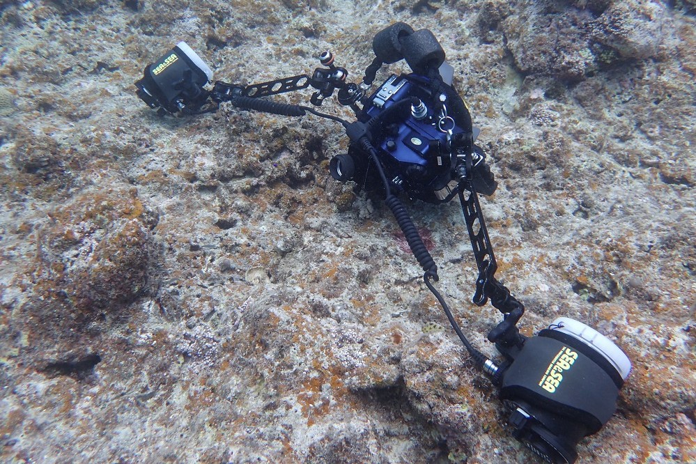 SEASEAのハウジングでINONのストロボを使う | 部長の水中写真と秘密のダイビングログ