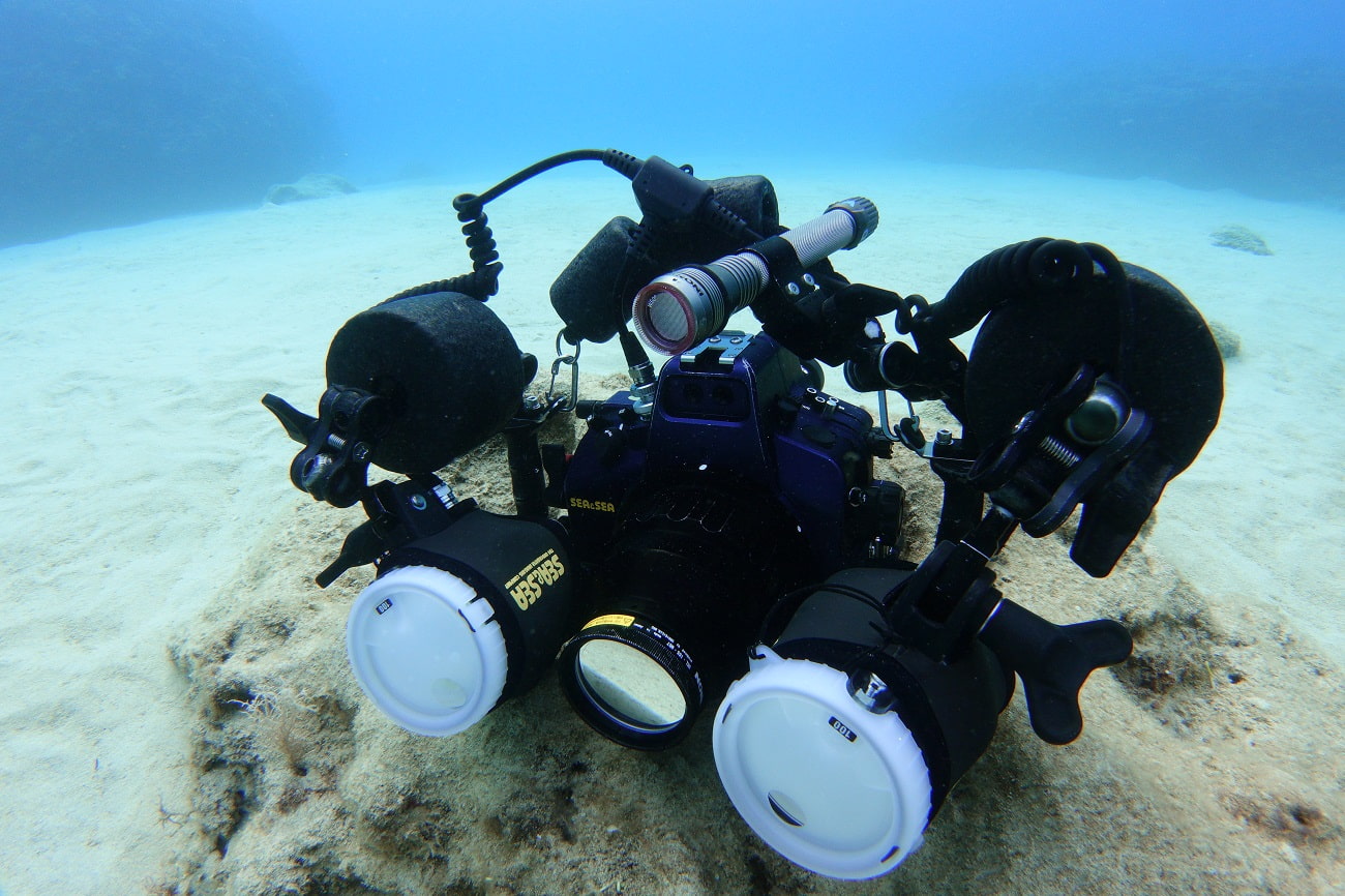 Nikon D810｜ダイビング水中写真の一眼レフセッティング例