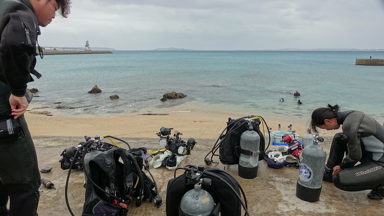 2020年末 沖縄セルフダイビング 4日目 レッドビーチ・ゴリラチョップ