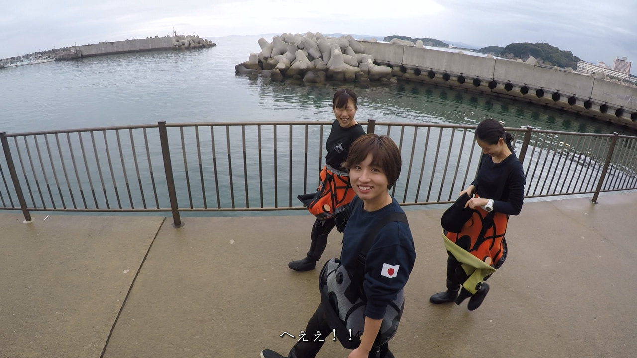 YouTube・和歌山 白浜で友達とファンダイビング・沈船でアカウミガメが降臨した