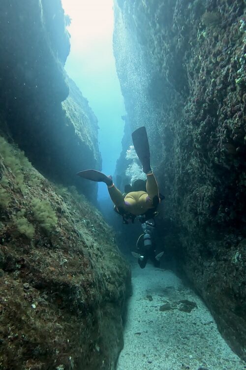 沖縄 慶良間のウチザン礁でのダイビング