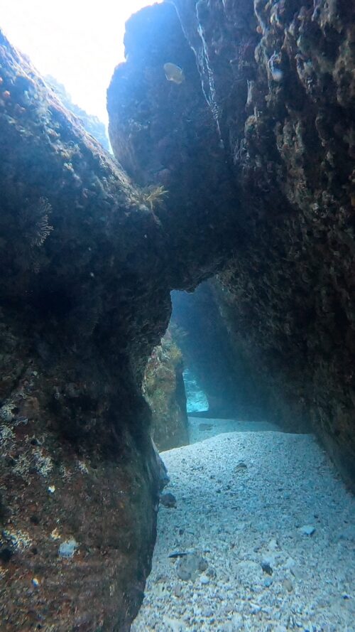 慶良間 ウチザン礁でのダイビングで撮影した水中写真