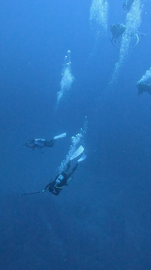 沖縄 トライアングルでのダイビングの様子