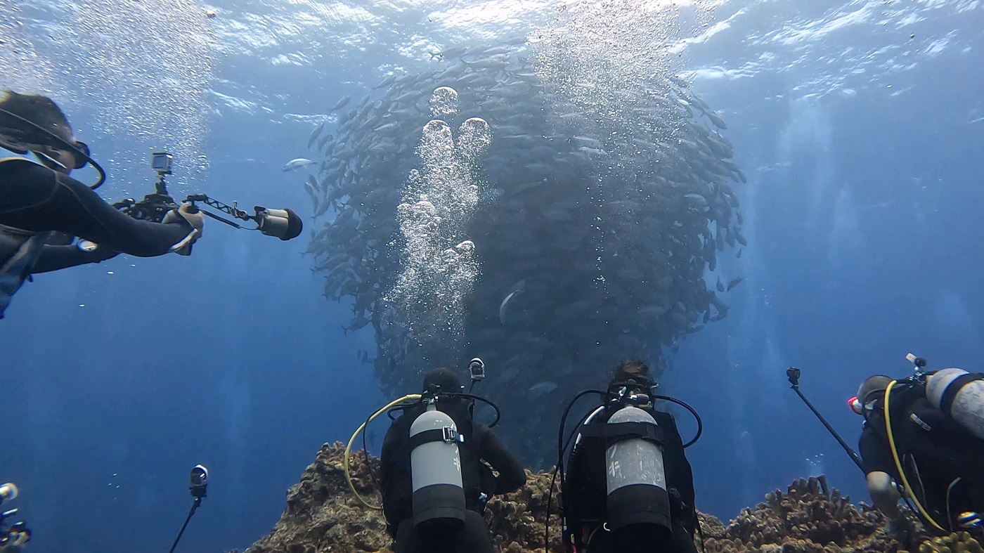 沖縄 粟国島の筆ん崎で撮影したギンガメアジの群れとダイバー