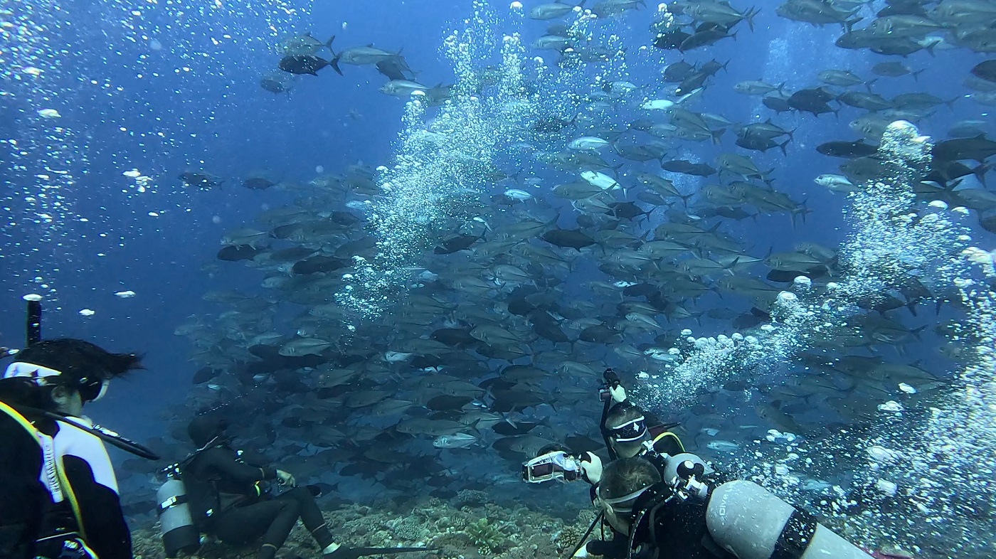 粟国島 筆ん崎でのダイビングで撮影したギンガメアジの群れとダイバー