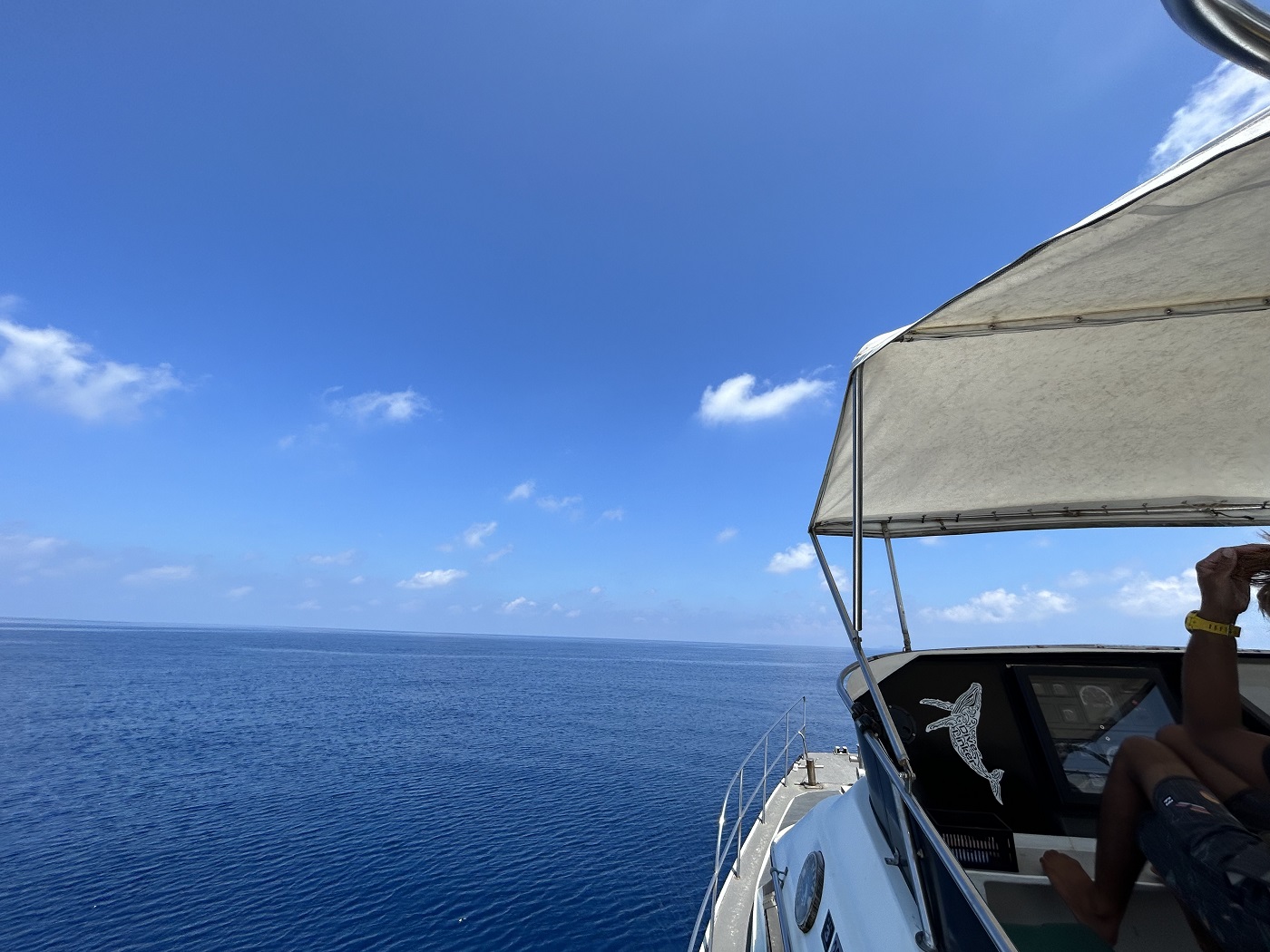 渡名喜でのダイビングの帰りに船から撮った穏やかな海