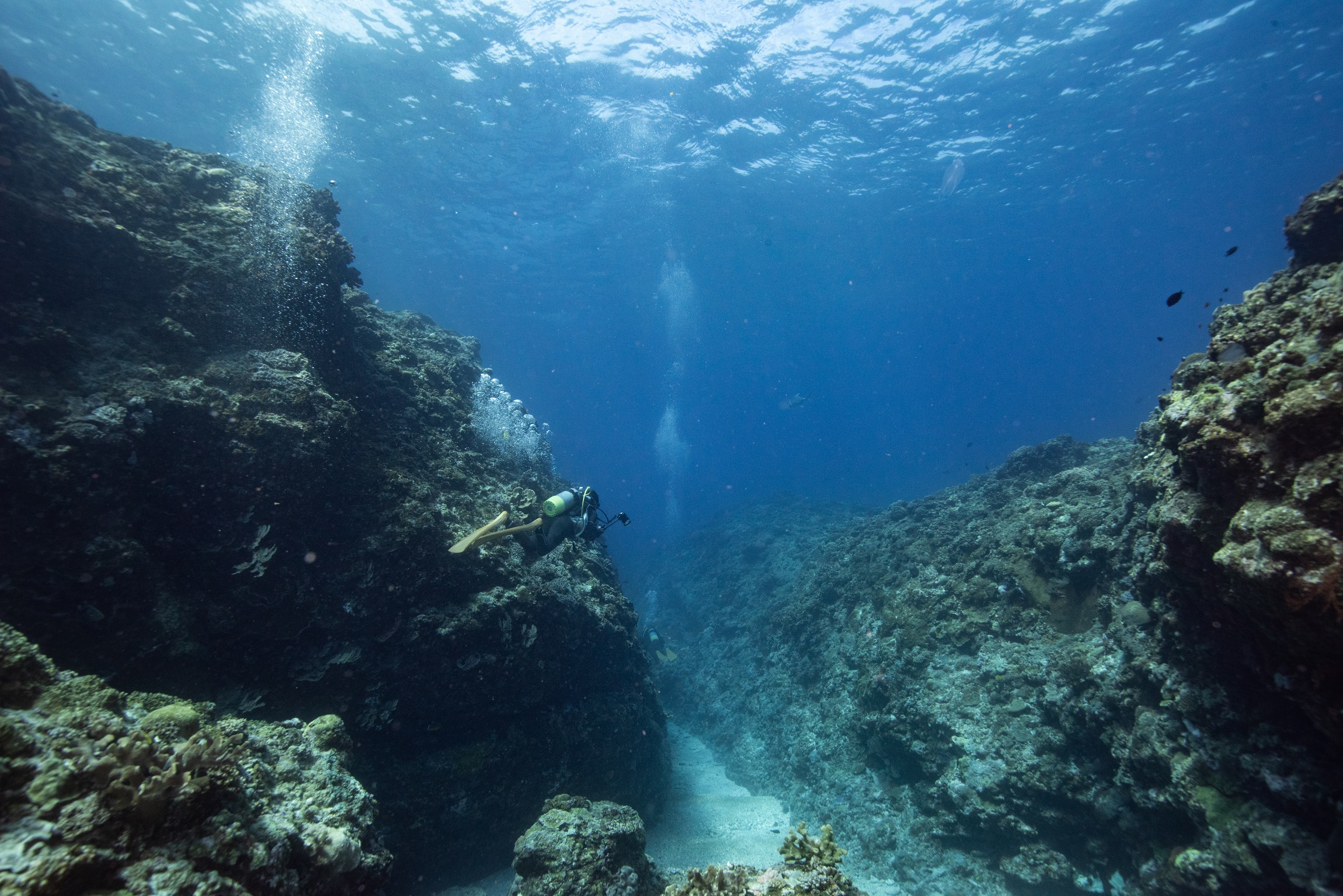 慶良間 ウチザン礁でのダイビングの様子